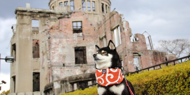 狗狗。（Photo AC）
