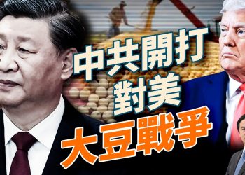 繼稀土之外，中共全面開打對美大豆戰爭；FCC掐斷中企供應鏈，華為中興全被鎖；日本高市早苗上台，日本版川普誕生！