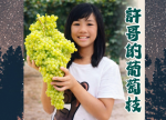 希望之聲 - FM96.1 灣區台 希望之聲 - FM96.1 灣區台