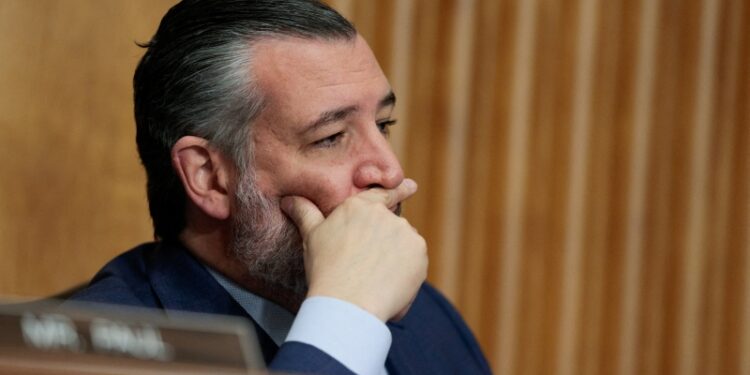 德州共和黨參議員克魯茲(Ted Cruz)。(REUTERS)