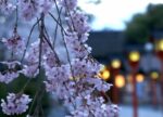 希望之聲 - FM96.1 灣區台 希望之聲 - FM96.1 灣區台
