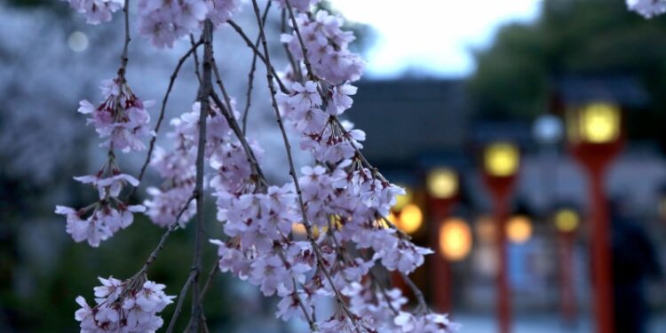 京都一隅。(Photo AC)