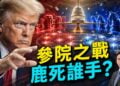 美國中期選舉，參院選戰的六大戰場是這些！