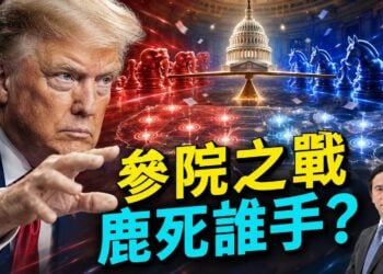美國中期選舉，參院選戰的六大戰場是這些！
